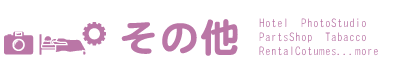 その他のサービス店や宿泊施設などのお店をご紹介しています。