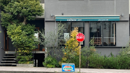 サルーテ の画像